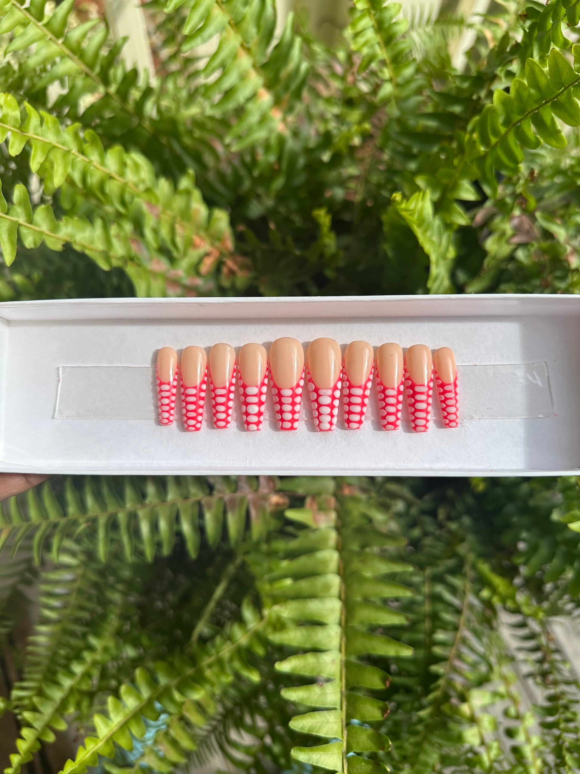 Toad Nail Set